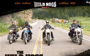 Wild Hogs